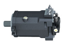 W020201216524885787548