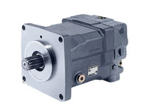 W020201216525385544624