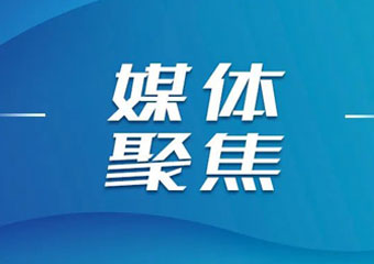 W020260226622015024115