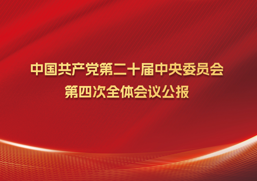 W020251202353256785764